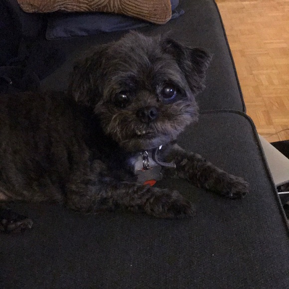 Meet your Posher, Nicole - Picture 1 of 1